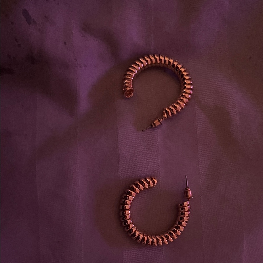 Elegant Gold Hoop Earrings